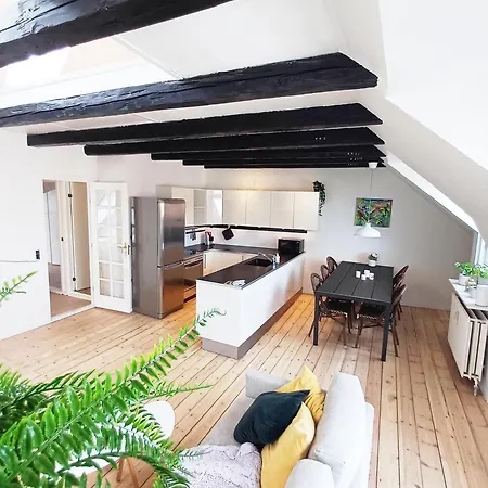 Bright With Balcony Apartment Randers
