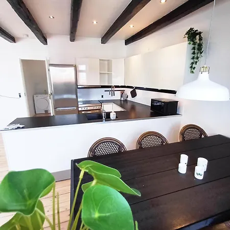 Apartament Unique On Pedestrian Street Randers